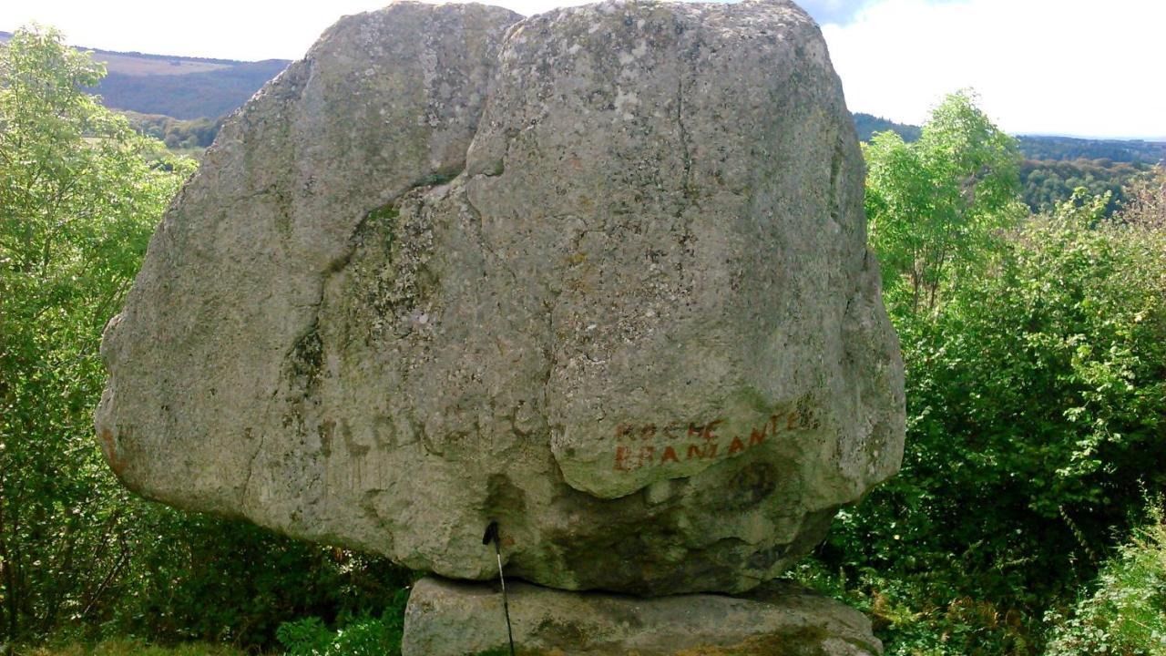 Lilas, Gite Saint Antoine, Orcival, Entre Sancy Et Volcans. Екстер'єр фото